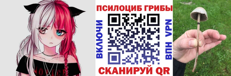 Псилоцибиновые грибы Cubensis  Котово 